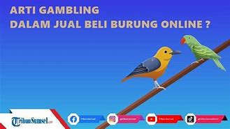 Arti Kata Slots Dalam Jual Beli